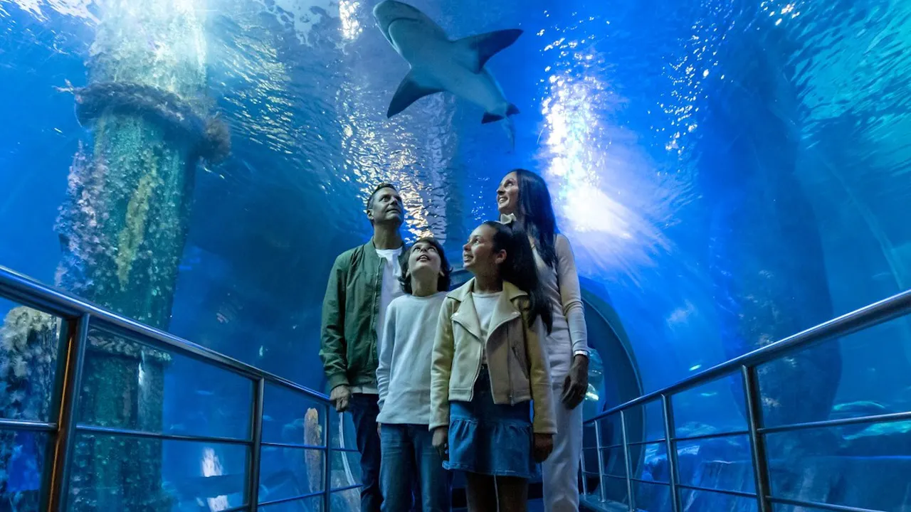 The Orlando Eye, Sea Life, Madame Tussauds, Digital Photos Combo Ticket Price