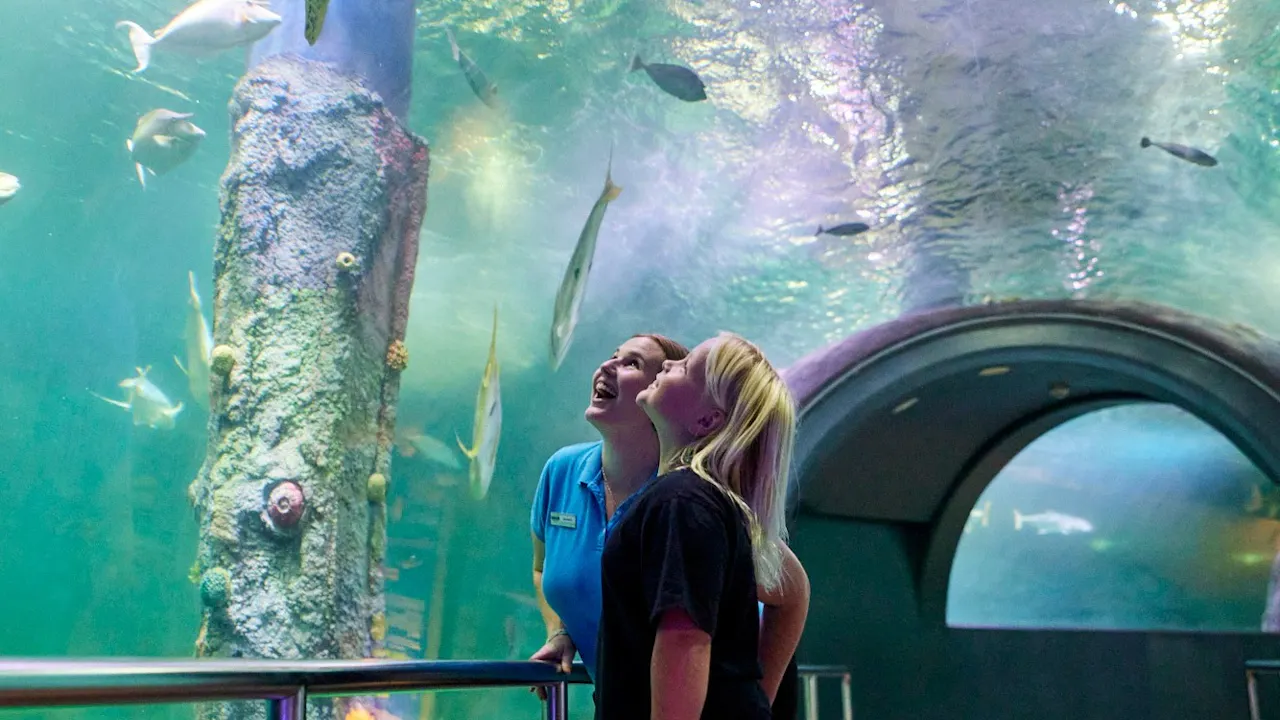 The Orlando Eye, Sea Life, Madame Tussauds, Digital Photos Combo Ticket Discount