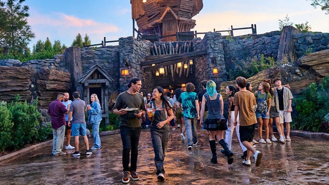 Disney & Universal Combo Tickets Thrillark