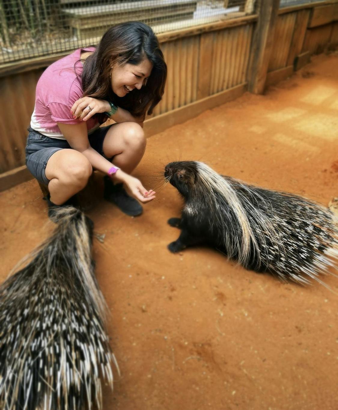 Wild Florida - Safari Park Admission Price