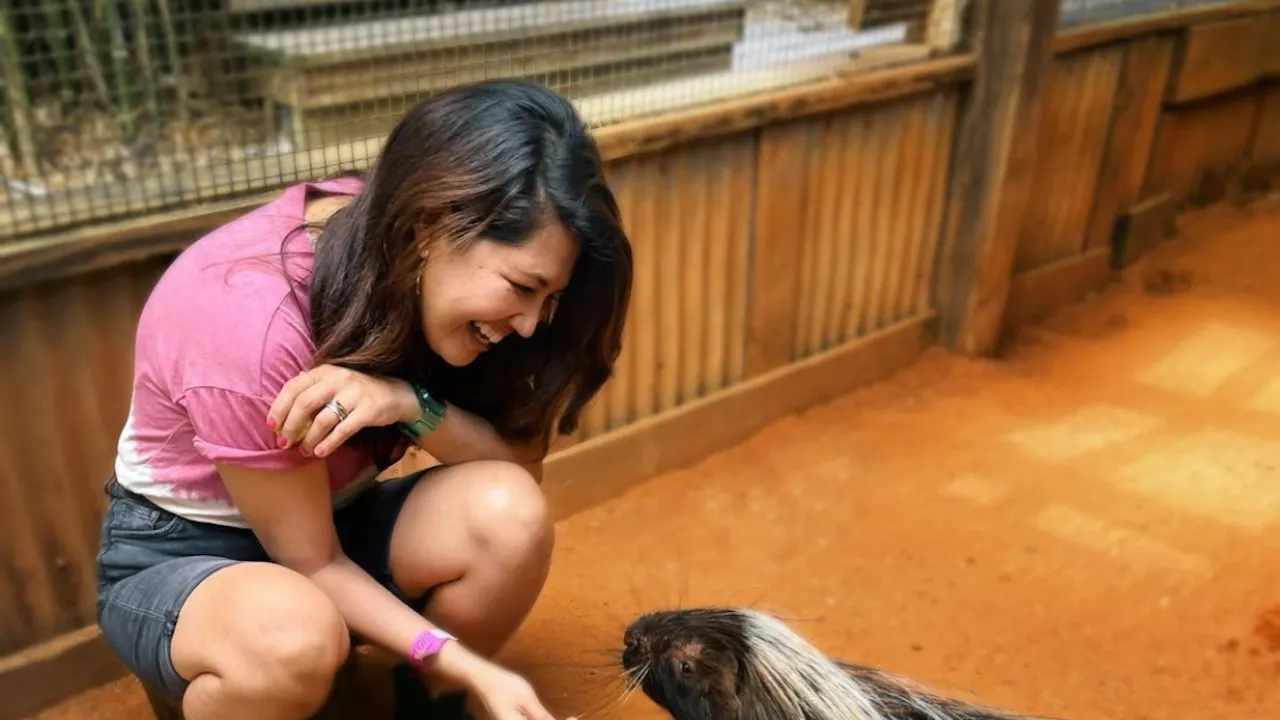 Wild Florida - Safari Park Admission Price