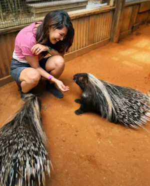 Wild Florida Drive - Through Safari & Gator Park Admission