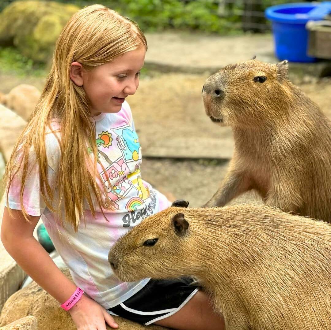 Wild Florida - Safari Park Admission