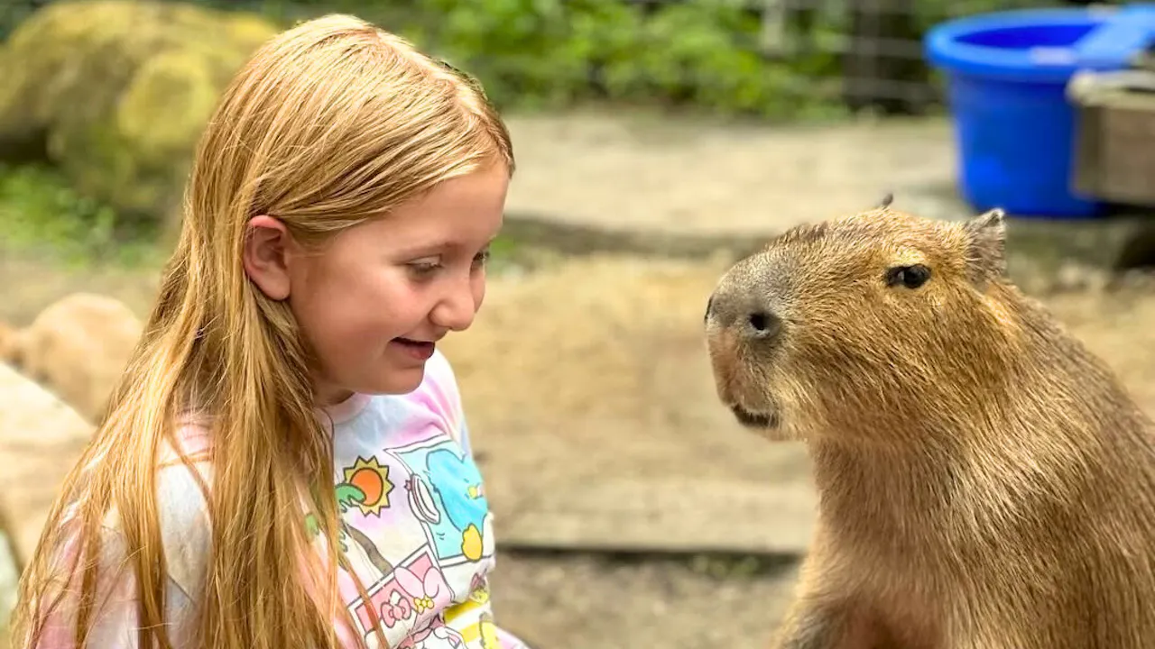 Wild Florida - Safari Park Admission