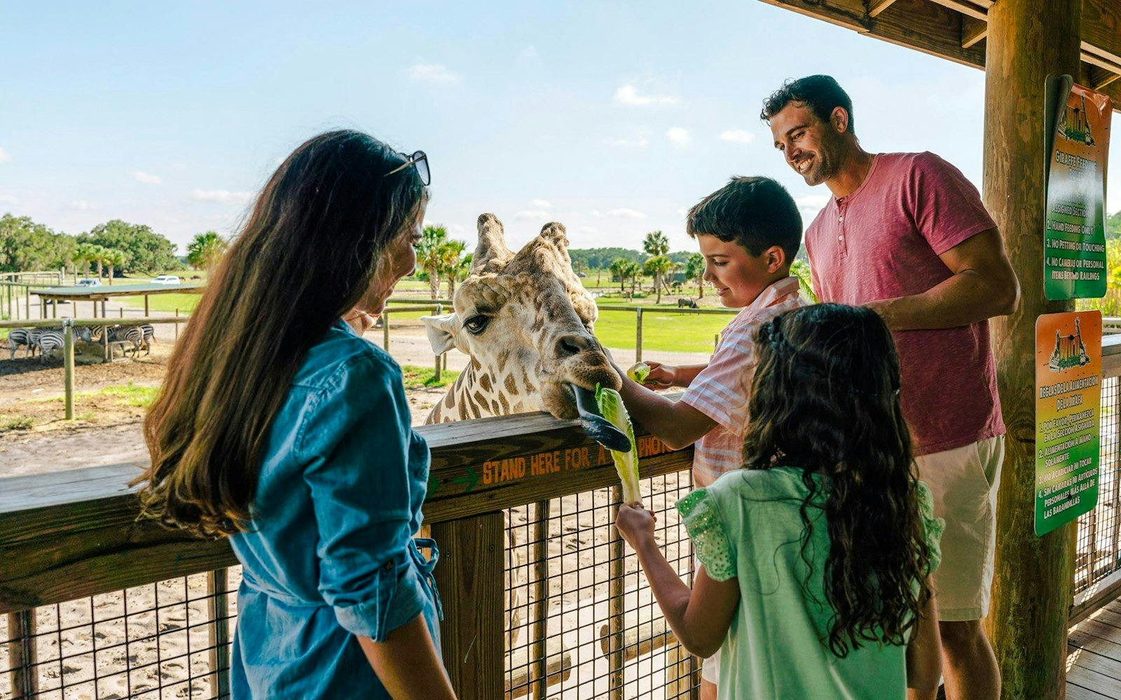 Wild Florida Drive - Through Safari & Gator Park Admission 