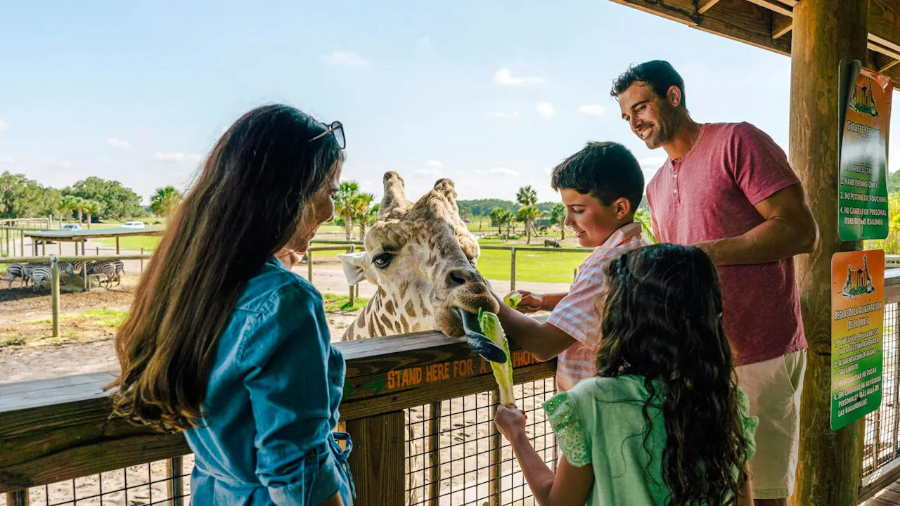 Wild Florida Drive - Through Safari & Gator Park Admission