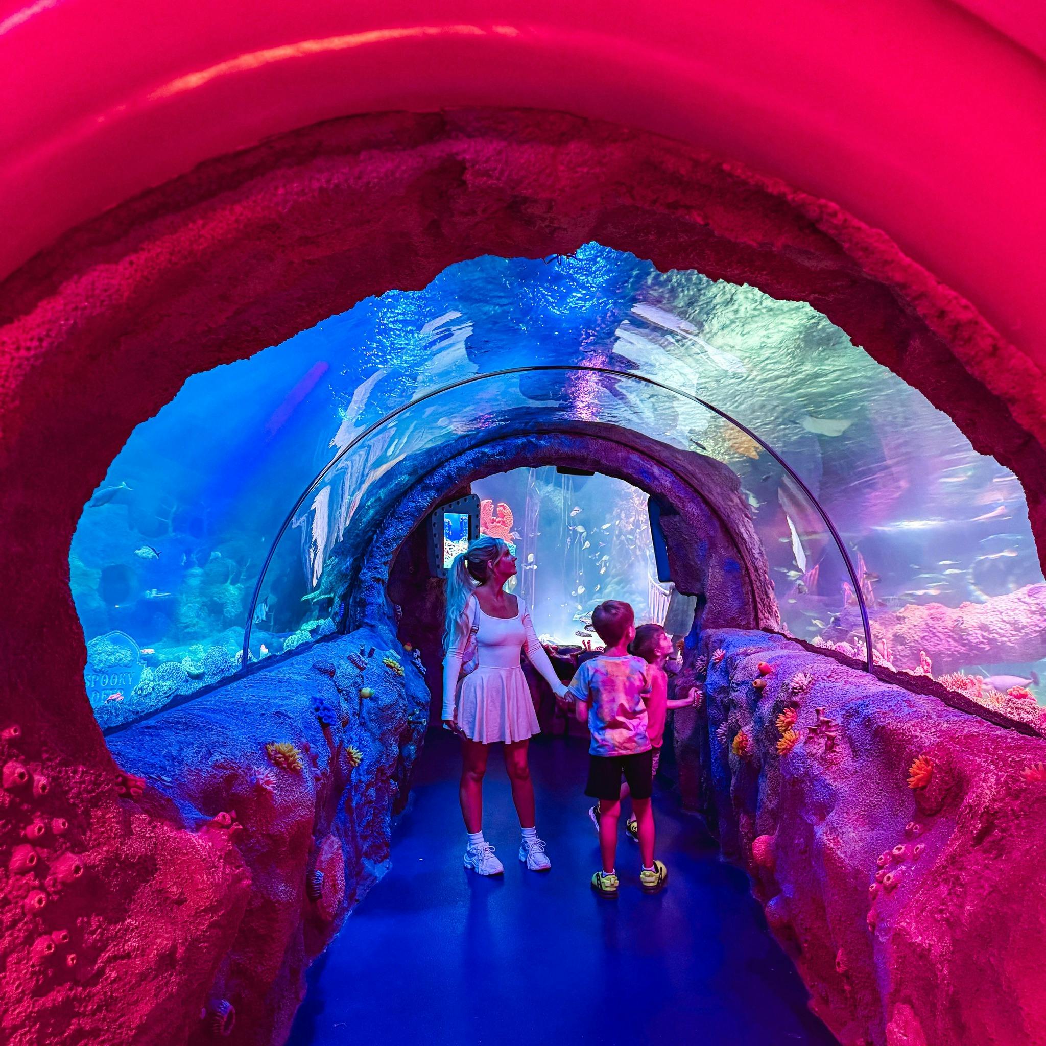 LEGOLAND Florida - 2 Day Ticket Discount