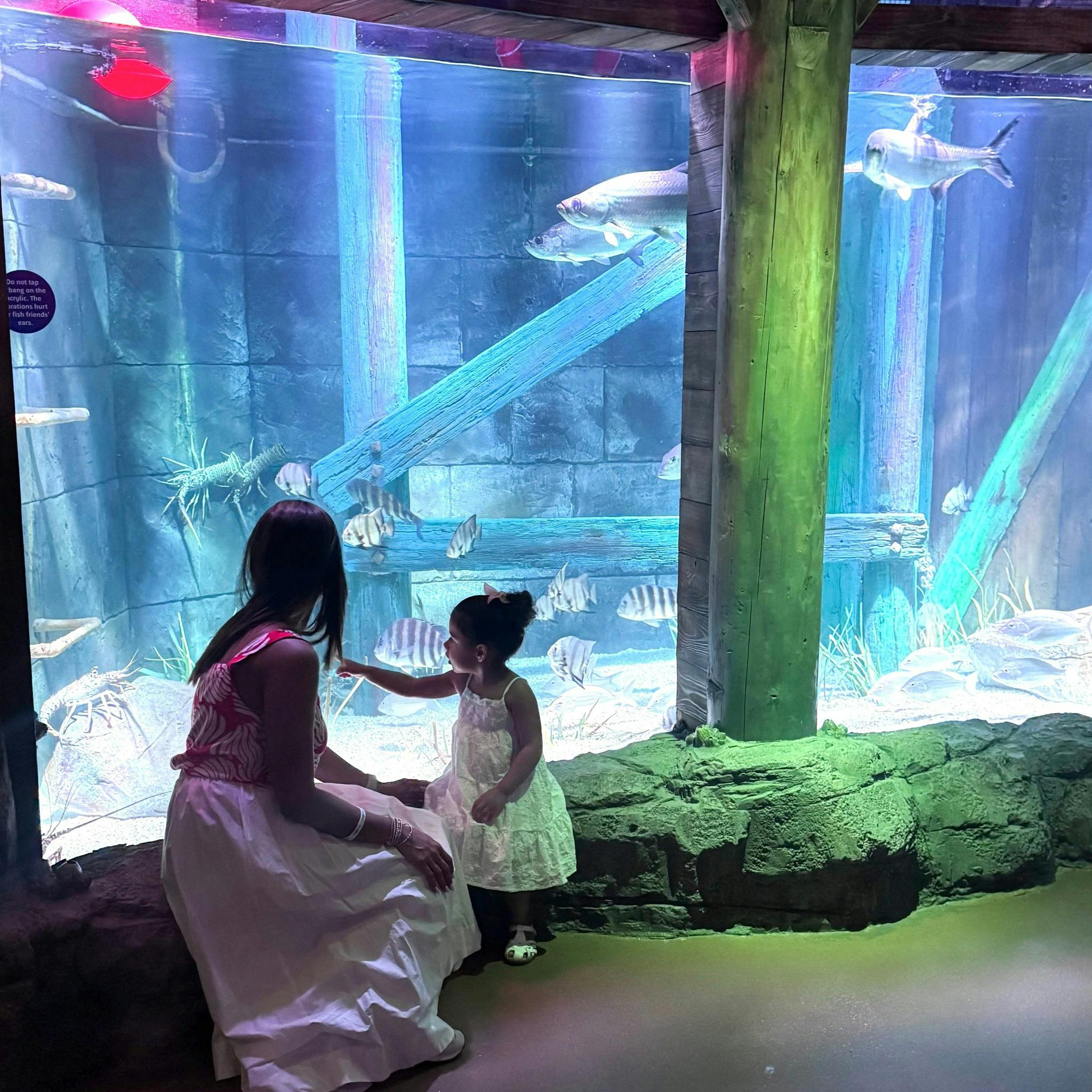 LEGOLAND Florida - 2 Day Ticket Location