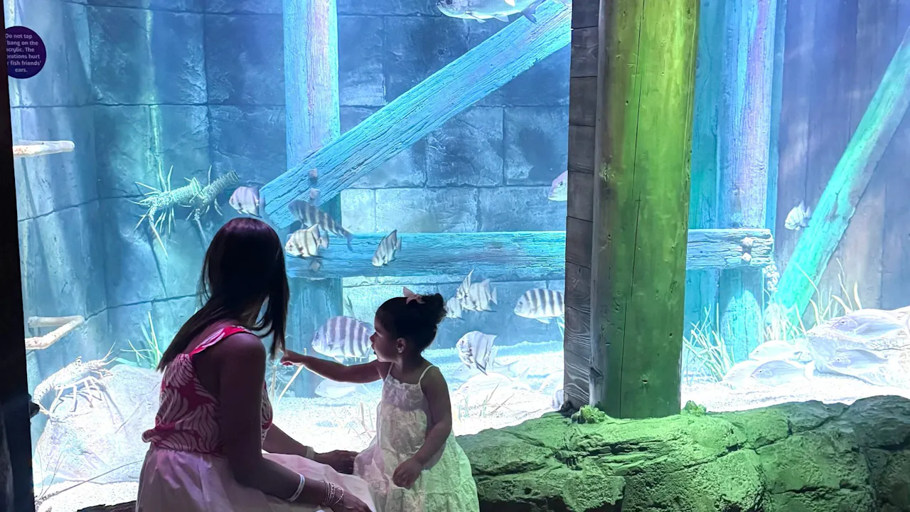 LEGOLAND Florida - 2 Day Ticket Location