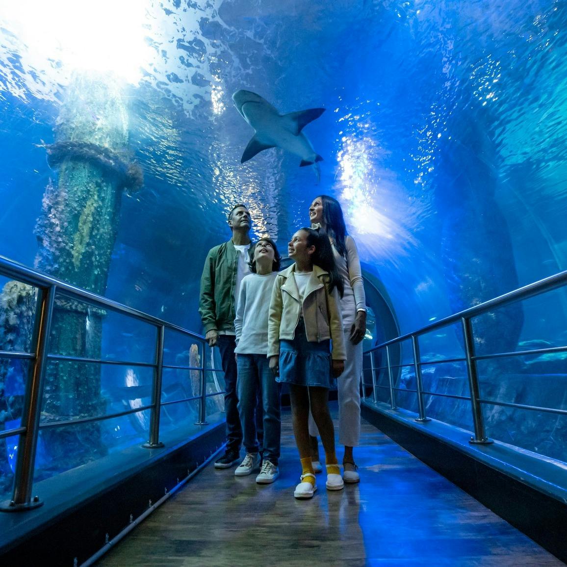 London Eye + SEA LIFE London Aquarium Combo Tickets