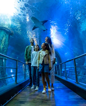 London Eye + SEA LIFE London Aquarium Combo Tickets