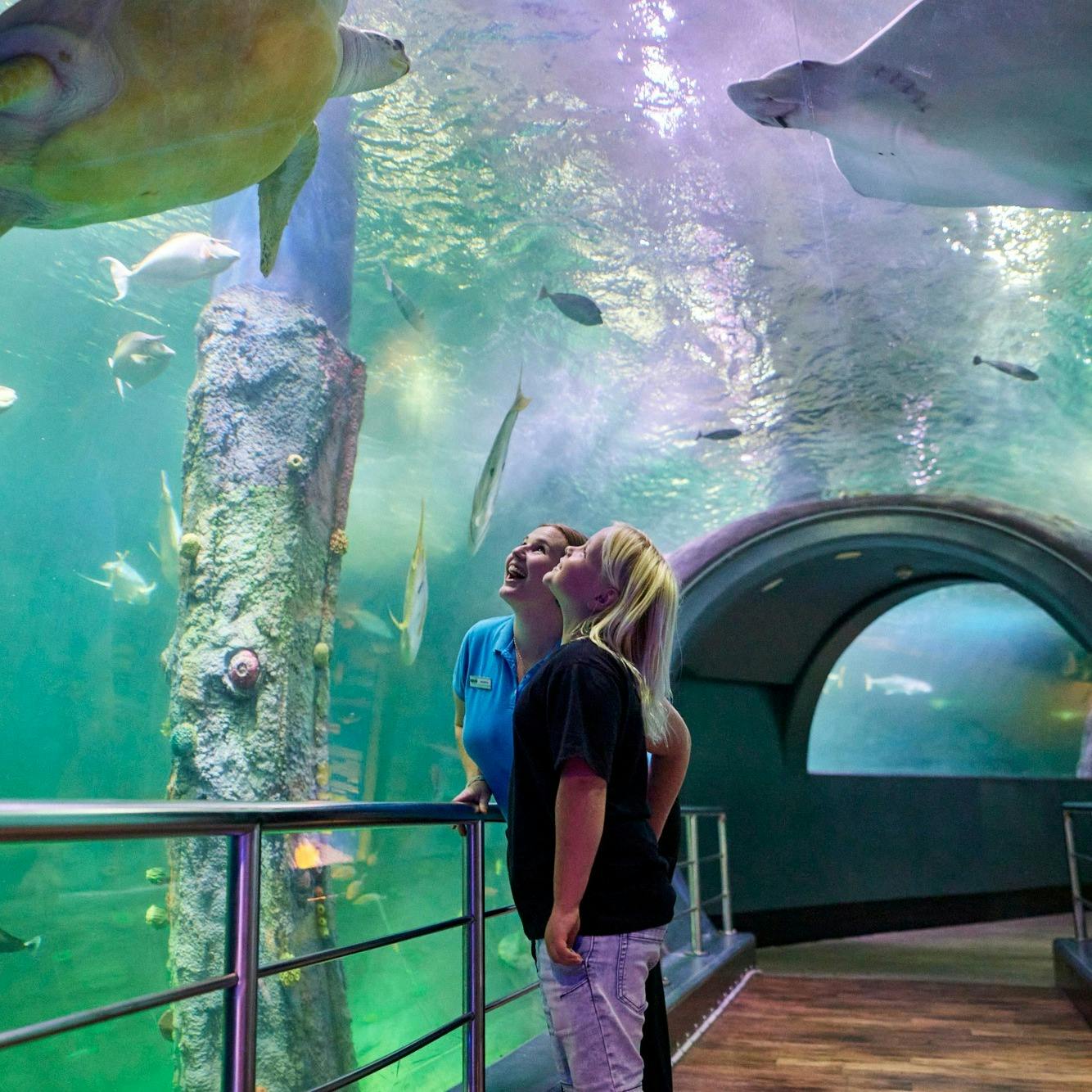 London Eye, Madame Tussauds, and SEA LIFE London Combo Tickets 