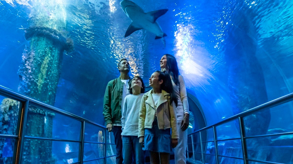 London Eye, SEA LIFE, and Shreks Adventure Combo Tickets  Category