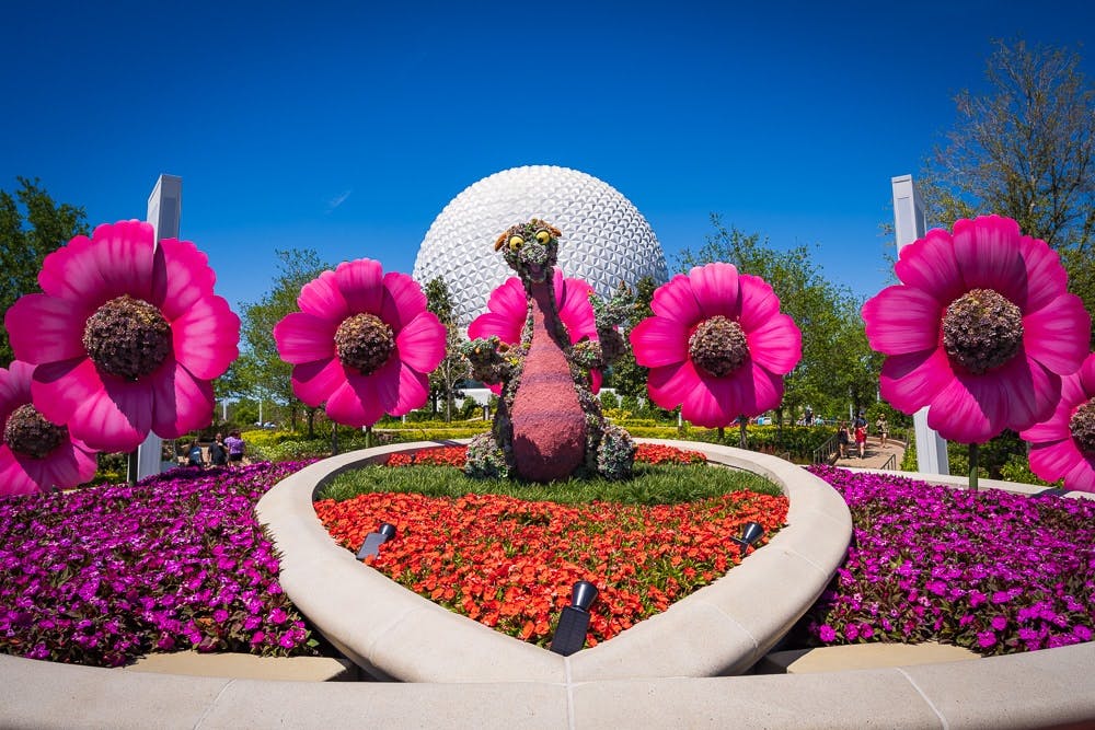EPCOT 1-Day Ticket Discount