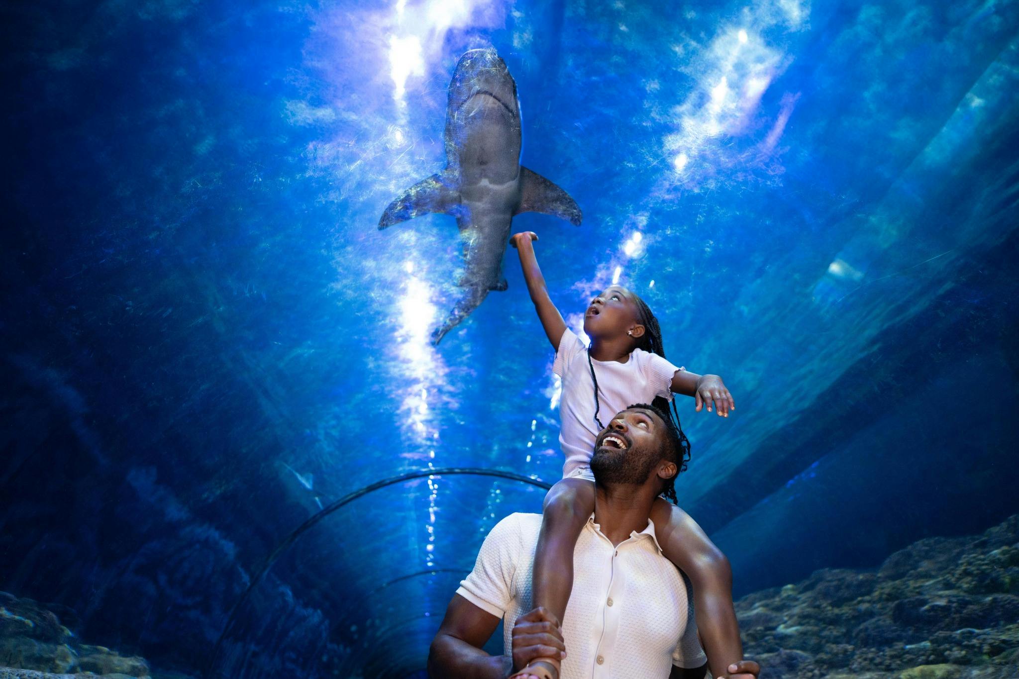 Disney and SeaWorld Combo Ticket Thrillark