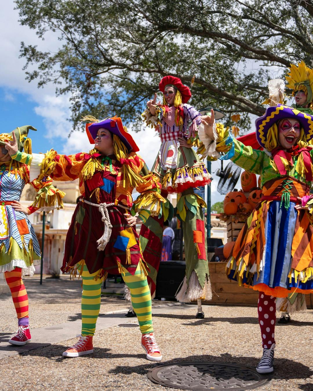 Disney and SeaWorld Combo Ticket Category