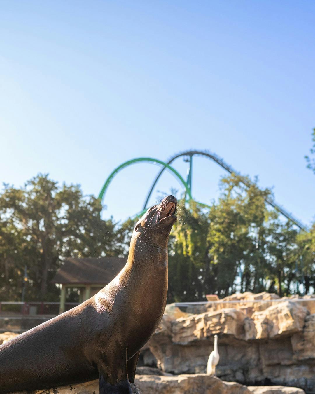 Disney and SeaWorld Combo Ticket Location