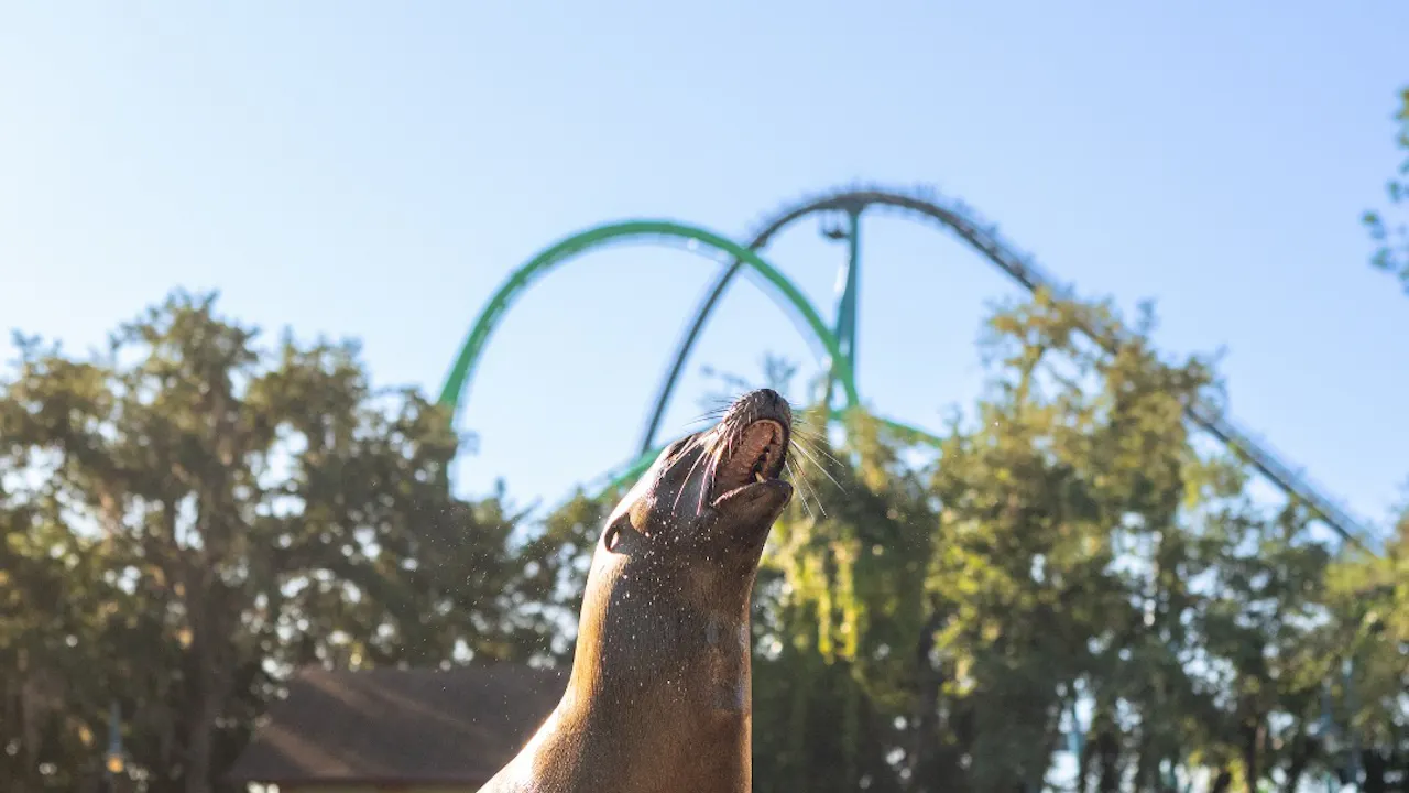 Disney and SeaWorld Combo Ticket Location