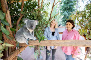 Lone Pine Sanctuary Tickets