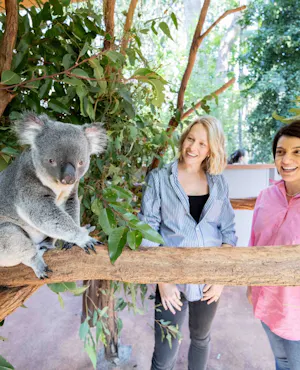 Lone Pine Sanctuary Tickets