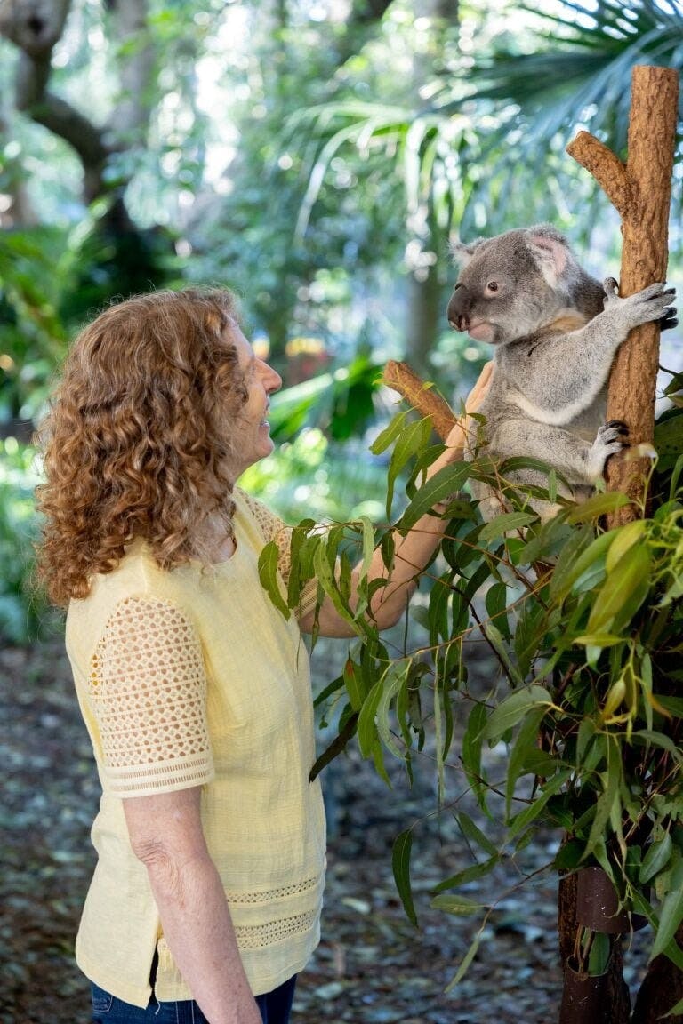 Lone Pine Sanctuary Tickets Ticket