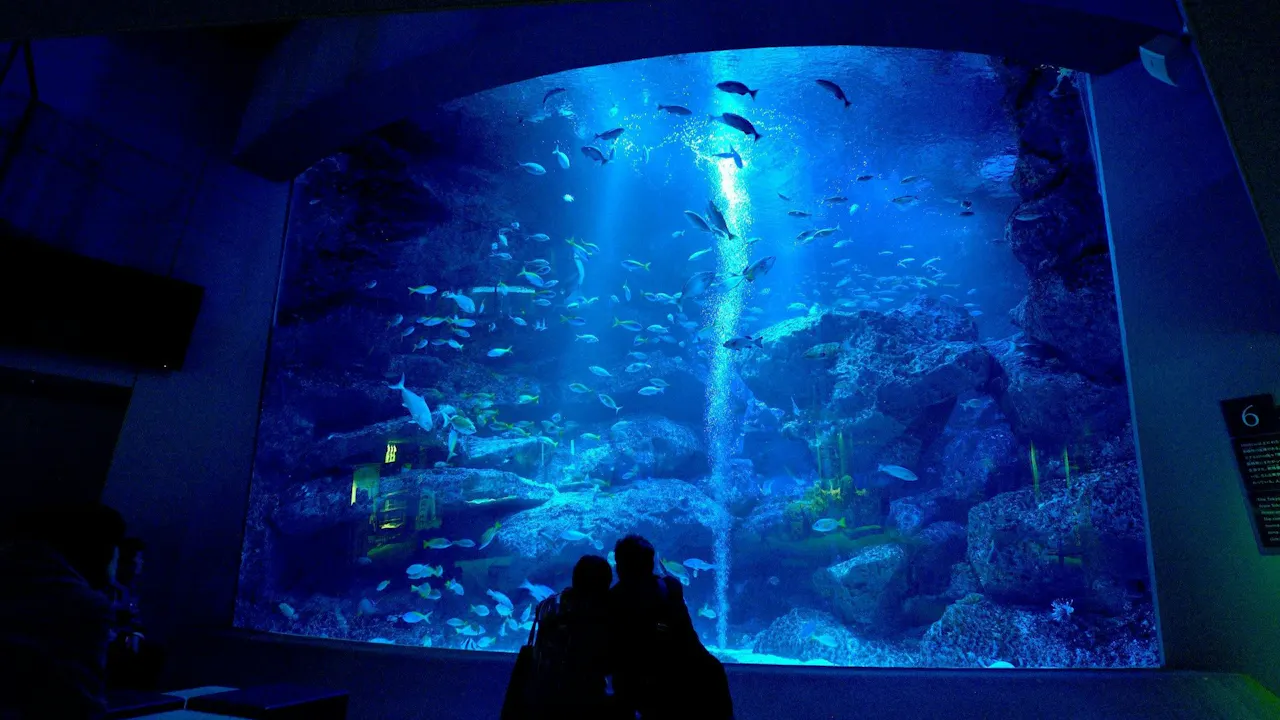 Sumida Aquarium Ticket Location