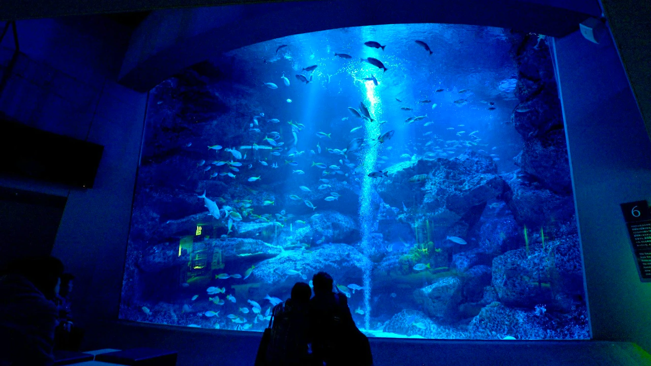 Sumida Aquarium Ticket Location