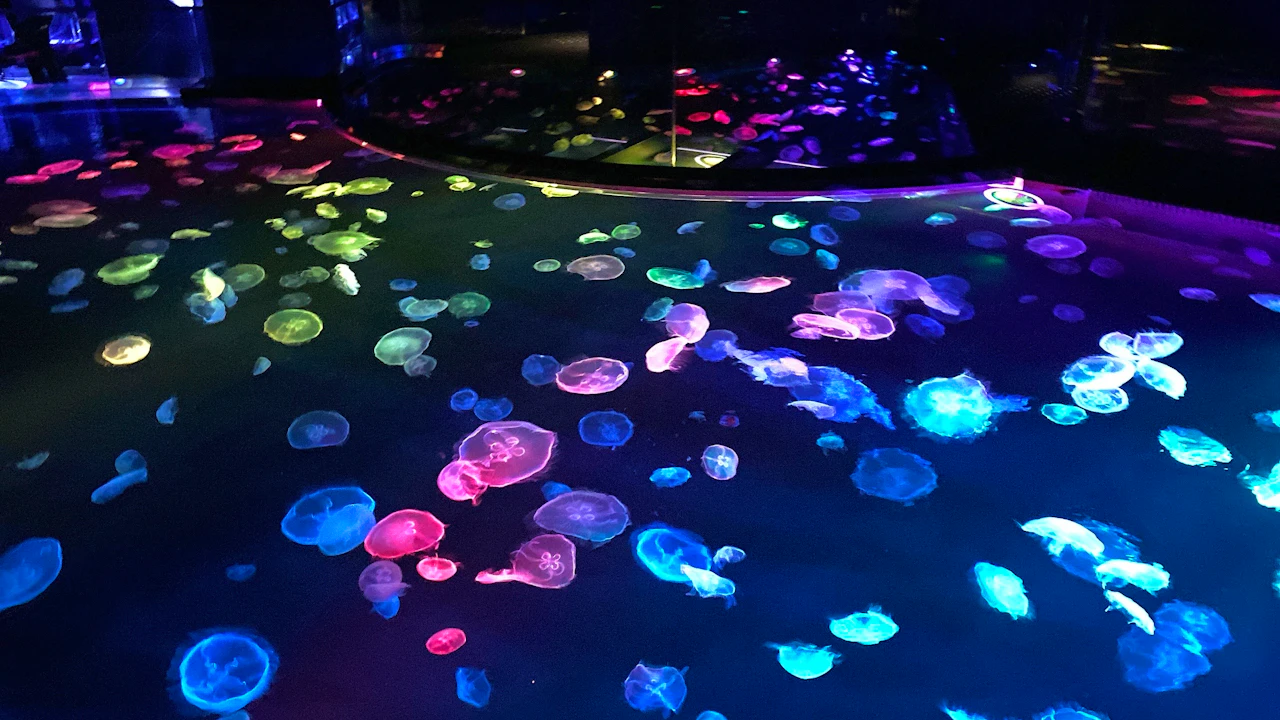 Sumida Aquarium Ticket Ticket