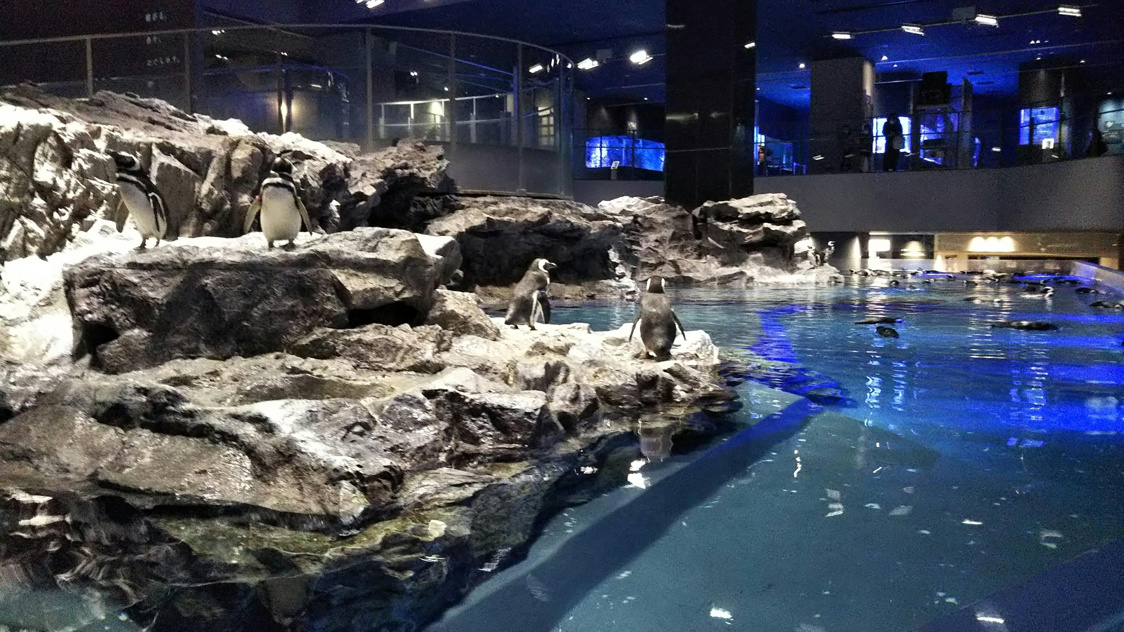 Sumida Aquarium Ticket