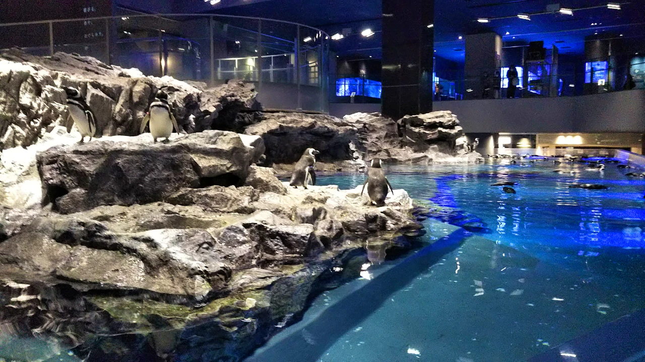Sumida Aquarium Ticket