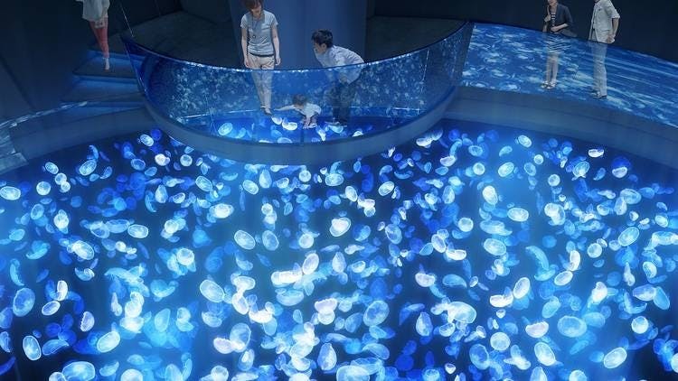 Sumida Aquarium Ticket Price