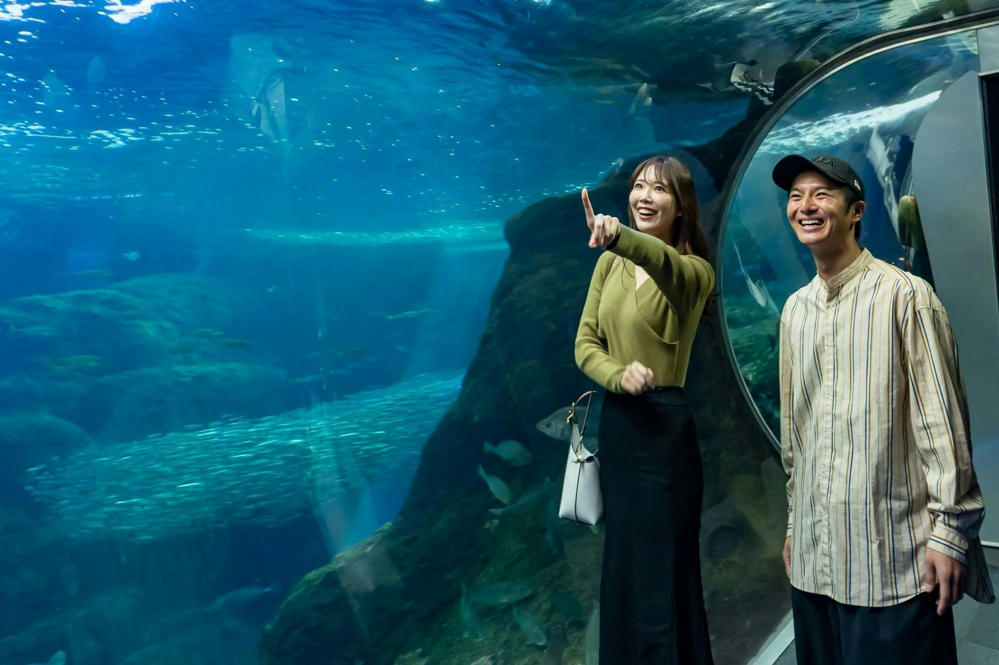Enoshima Aquarium Price