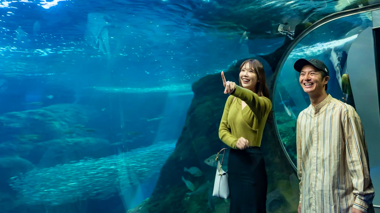 Enoshima Aquarium Price