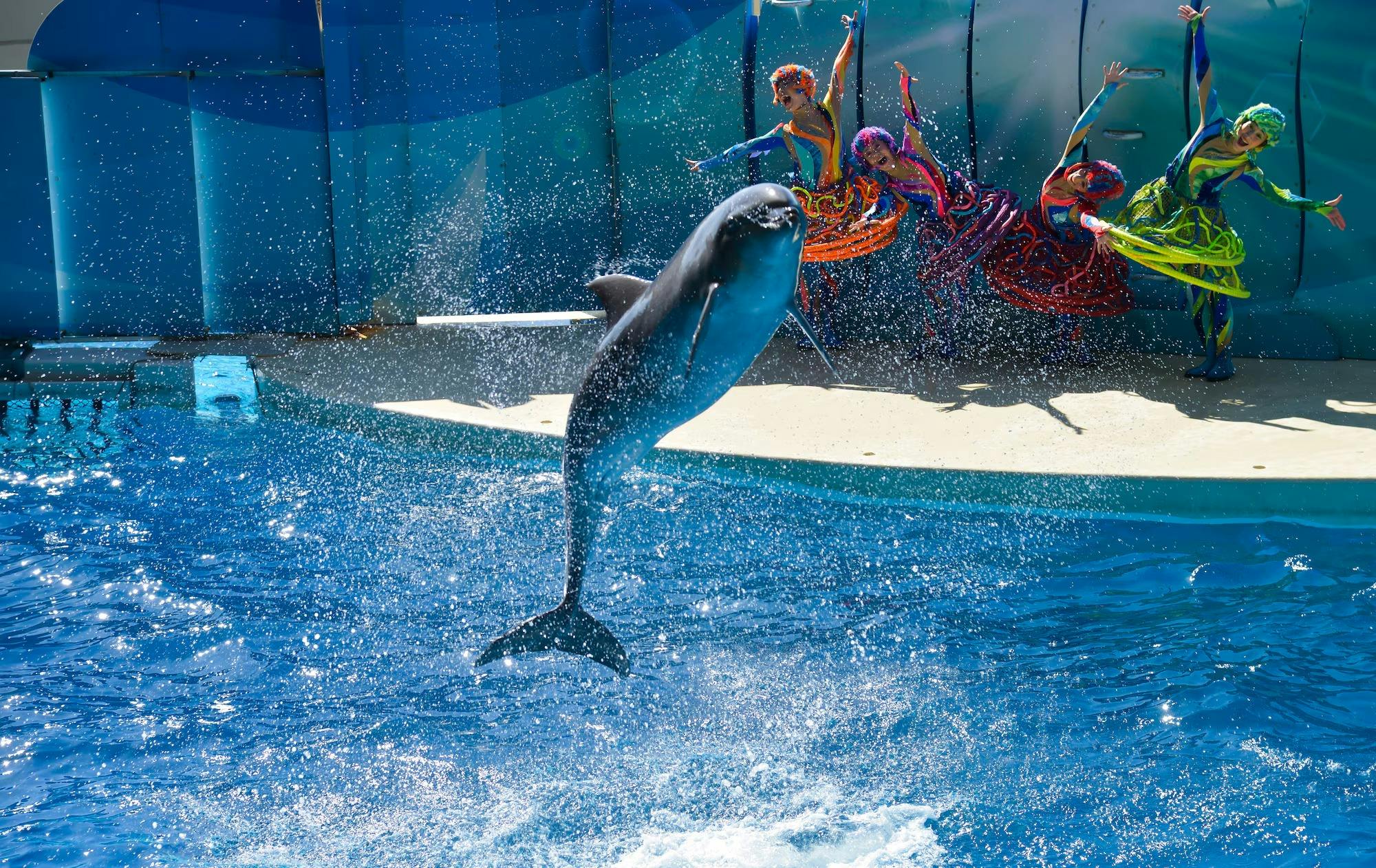 Enoshima Aquarium Ticket