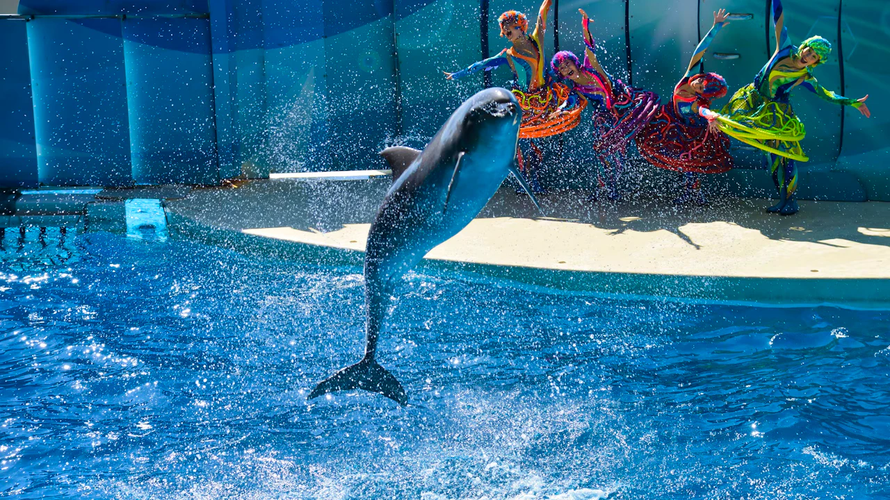 Enoshima Aquarium Ticket