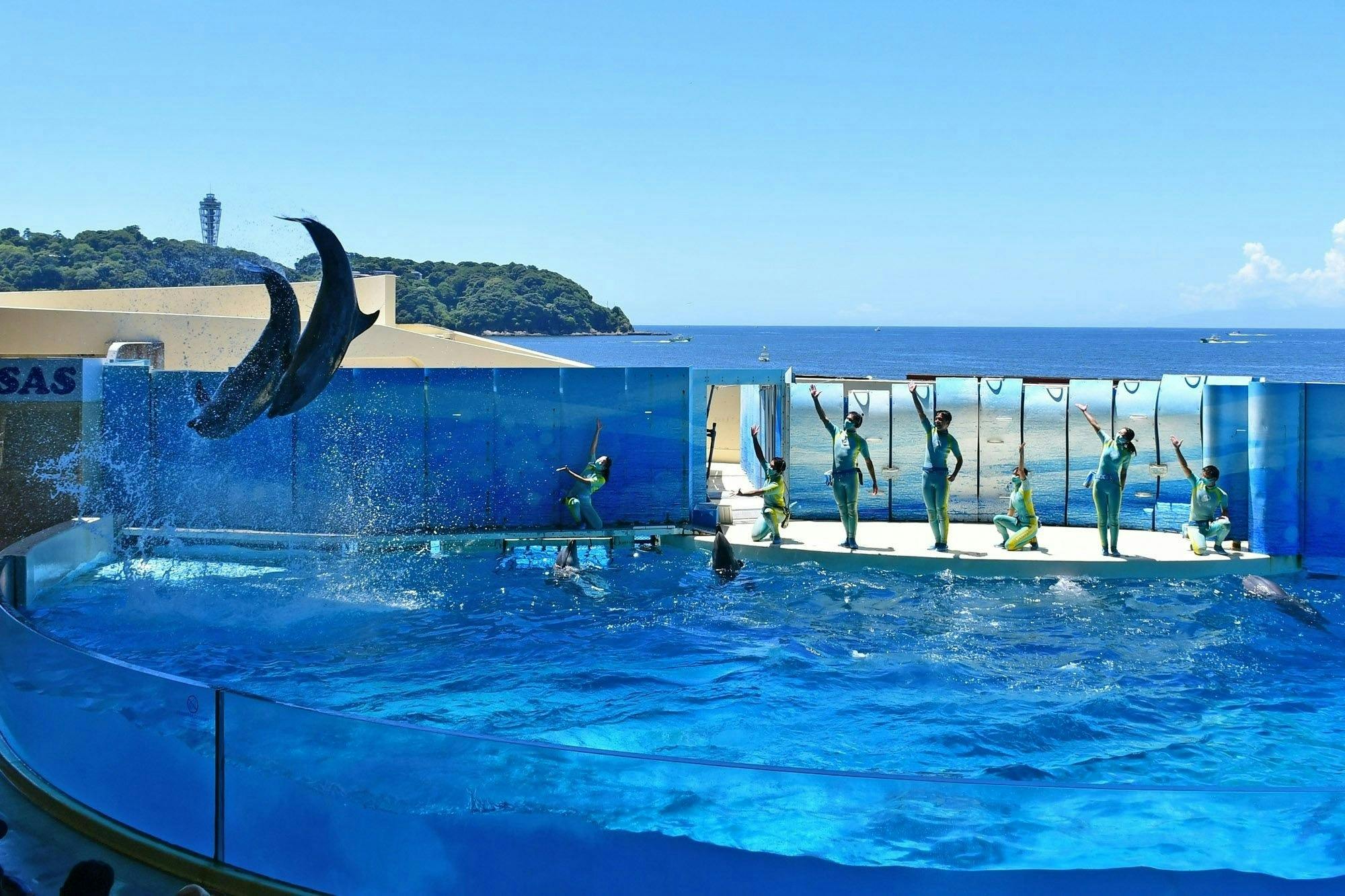 Enoshima Aquarium Discount