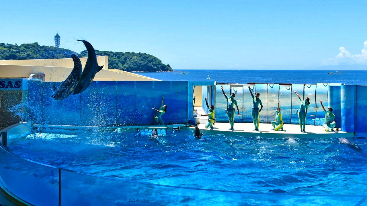 Enoshima Aquarium Discount