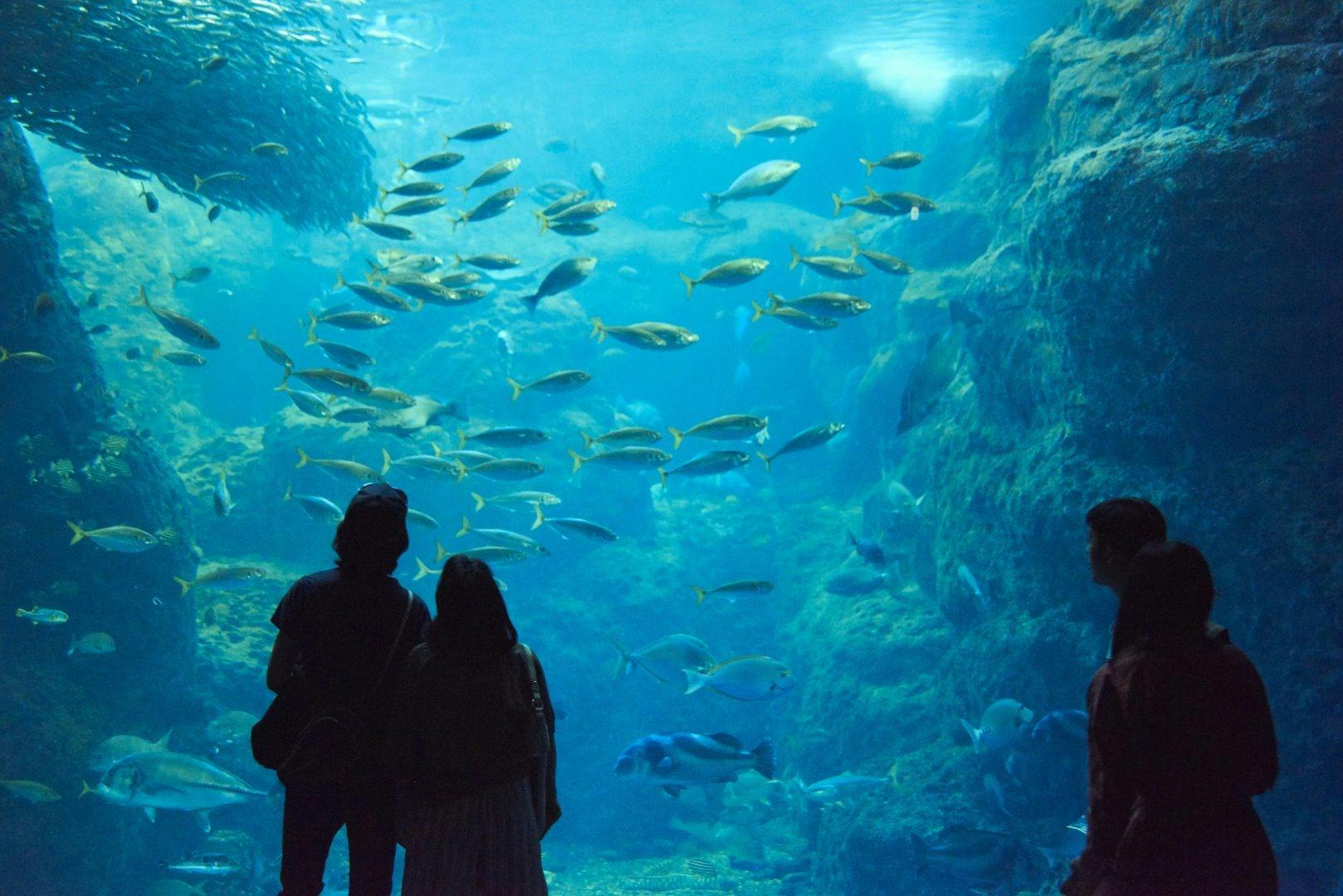 Enoshima Aquarium Location