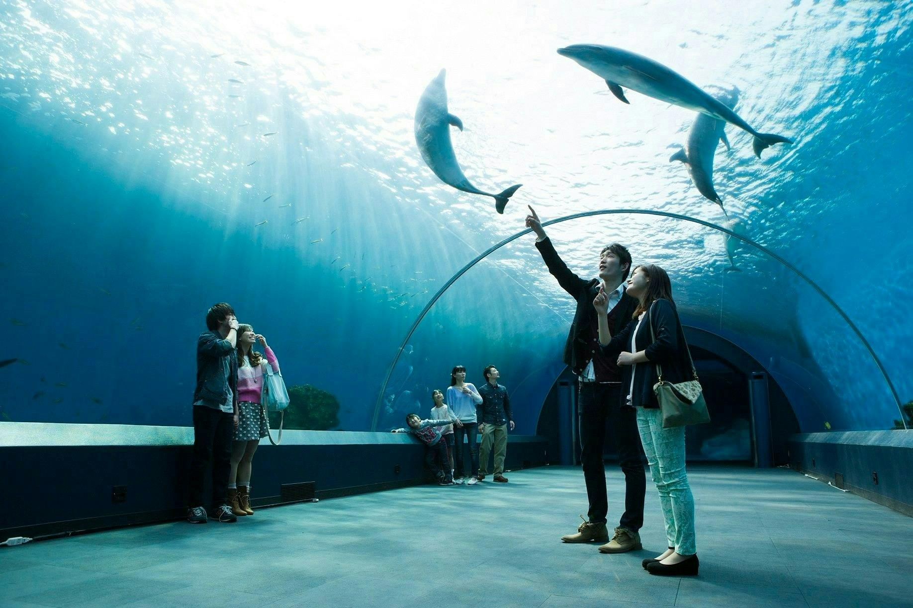 Enoshima Aquarium