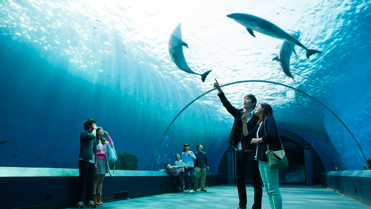 Enoshima Aquarium