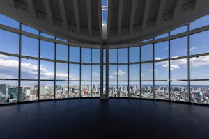 Roppongi Hills Tokyo City View Observation Deck Ticket