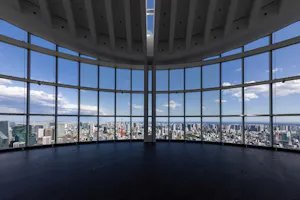 Roppongi Hills Tokyo City View Observation Deck Ticket