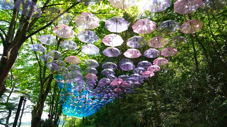 Moominvalley Park Thrillark