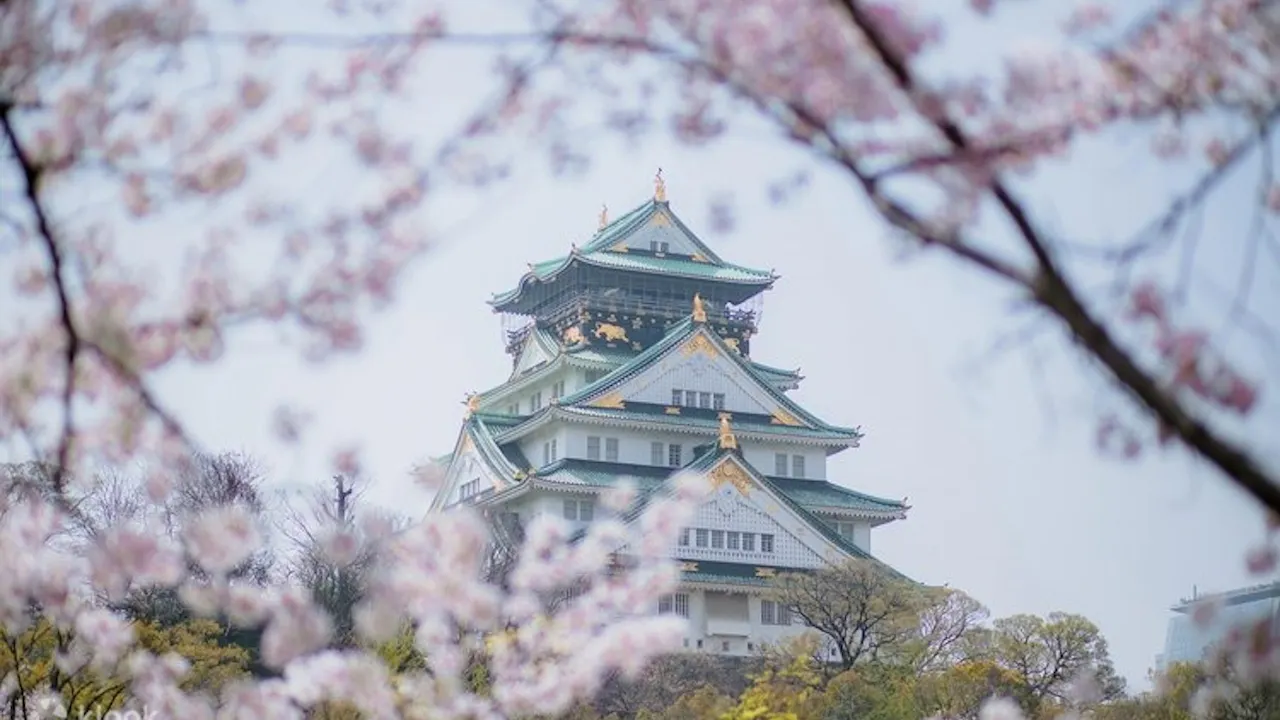 Osaka Castle Museum Tickets Ticket