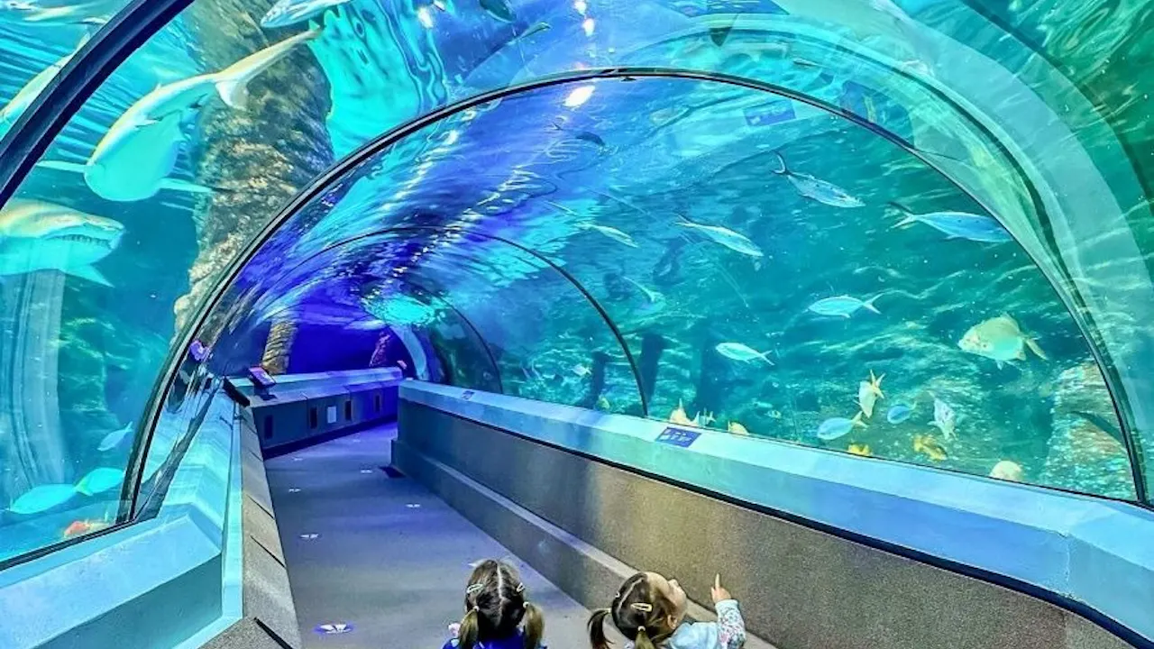 SEA LIFE Sunshine Coast Location