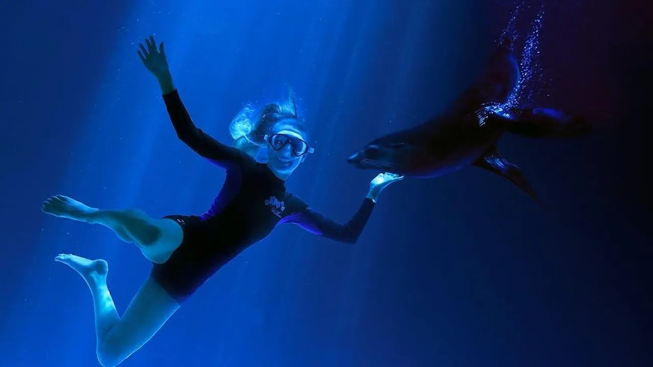 SEA LIFE Sunshine Coast Price