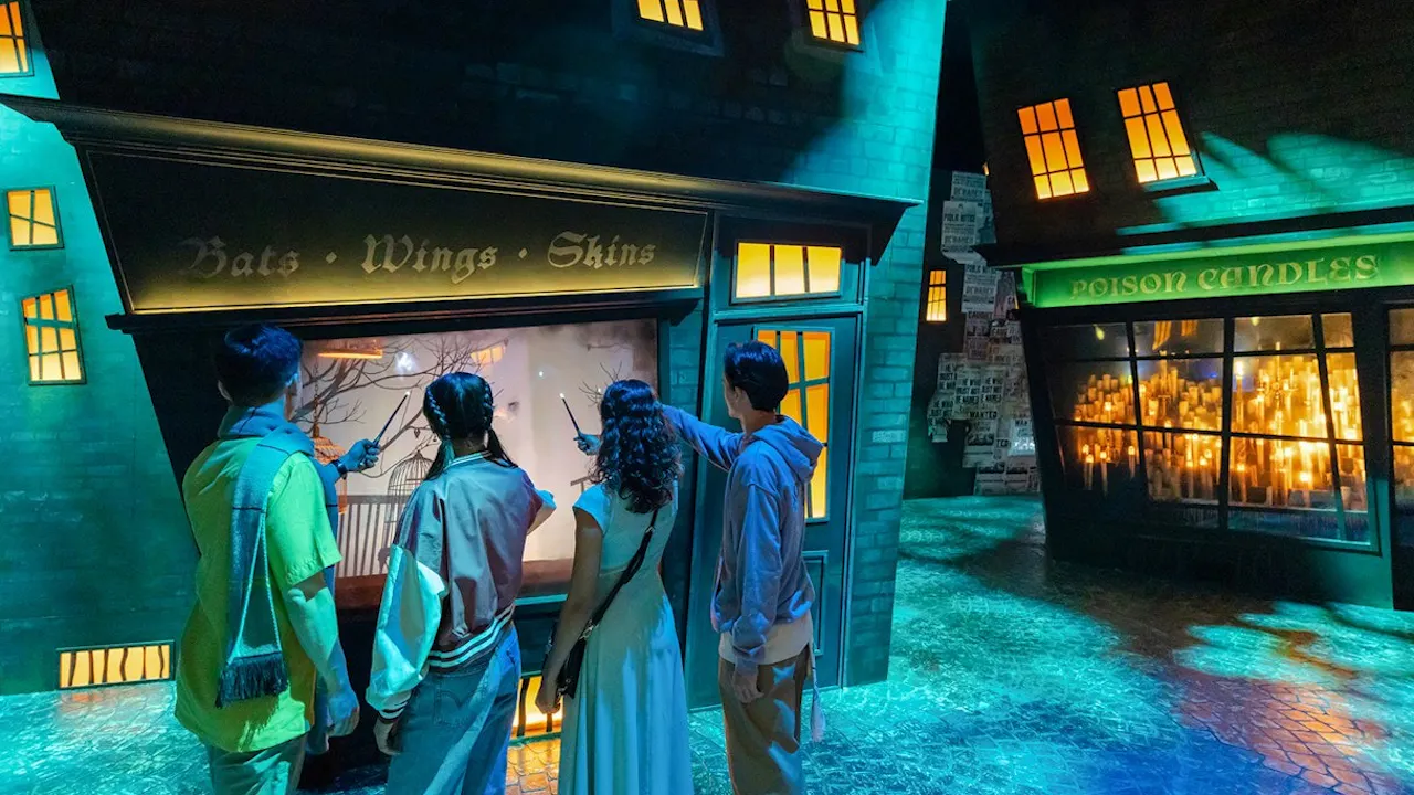 Harry Potter: Visions of Magic