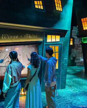 Harry Potter: Visions of Magic