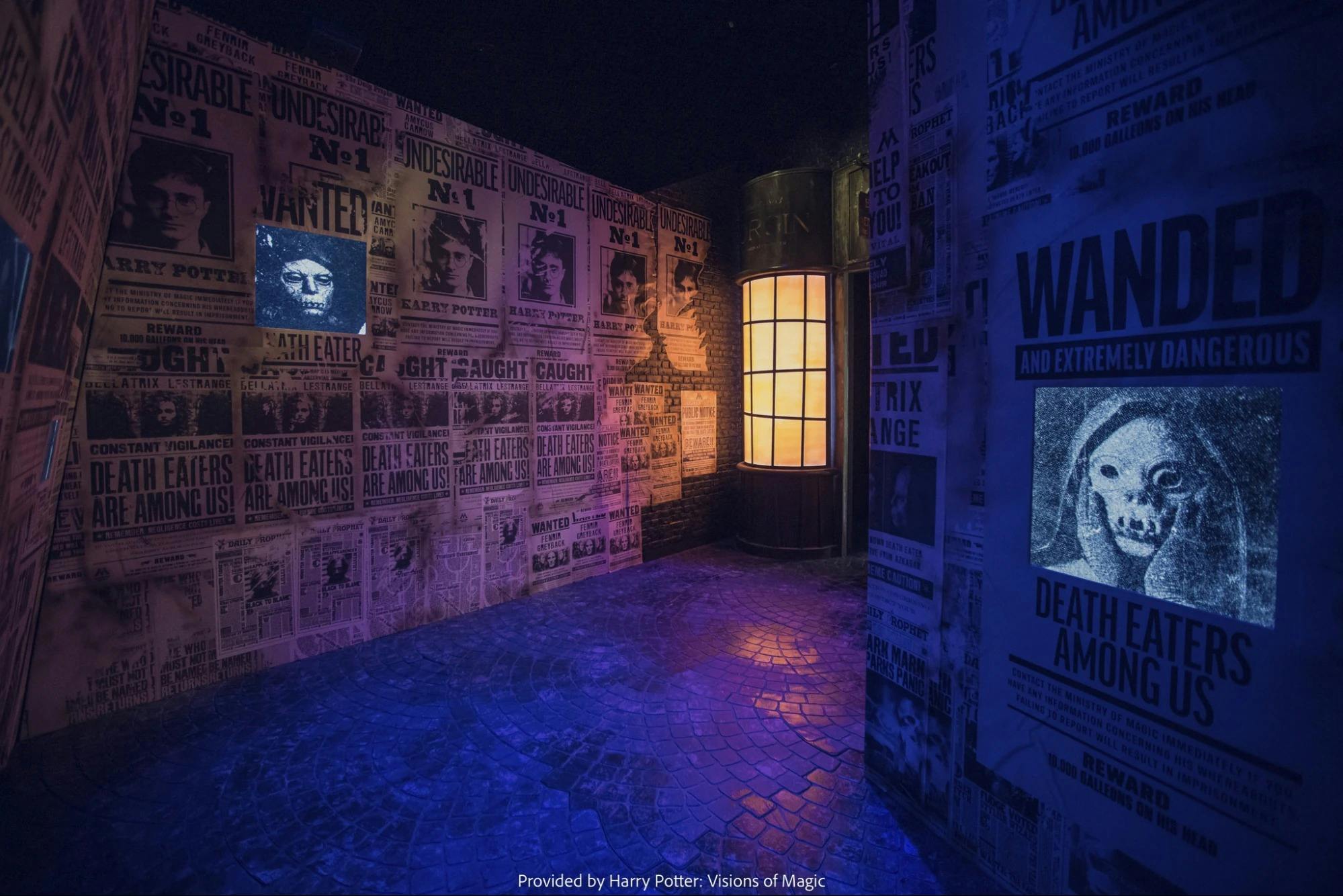 Harry Potter: Visions of Magic Price