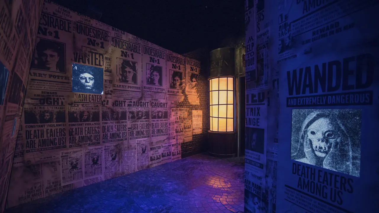 Harry Potter: Visions of Magic Price